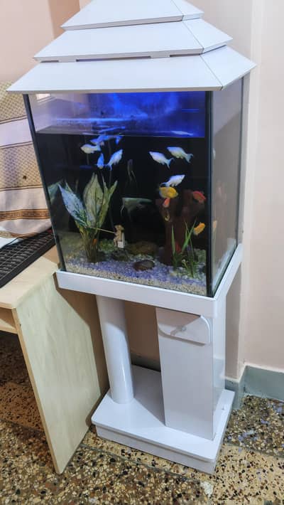 Aquarium and fishes for sale