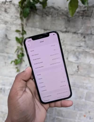 Iphone 12 Pro 256 Gb  (I am From lahore but Now  I am in Nawab shah)