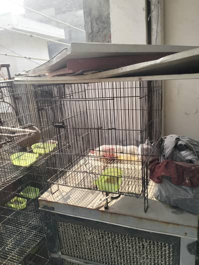 cages for sale urgent