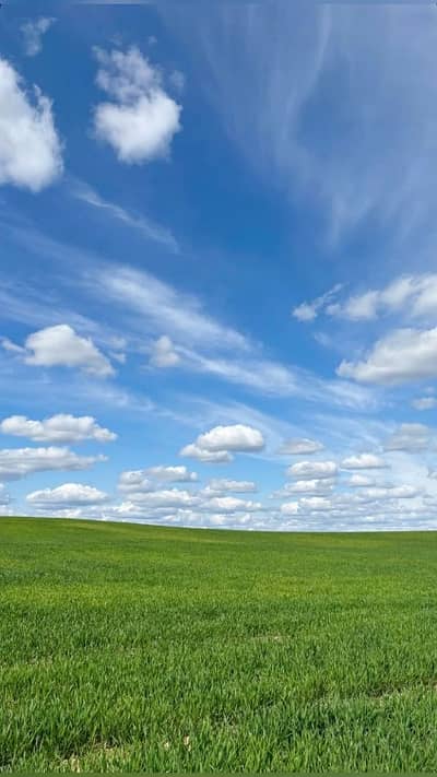 1800 Square Feet Residential Plot Situated In G-15/4 For sale