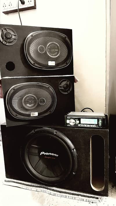 Pioneer Tsw - 311 Dual Coil