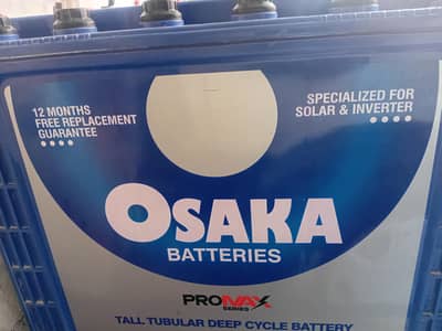 Tall Tubular Battery