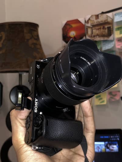 Sony Alpha 6000 with 50mm f1.8 lens