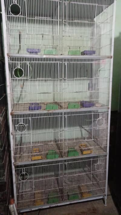 cage pinjra full size for parrots and animal