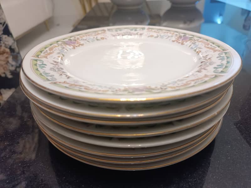 Dining Plates 0