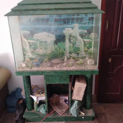 Fish aquarium for sale in urgent