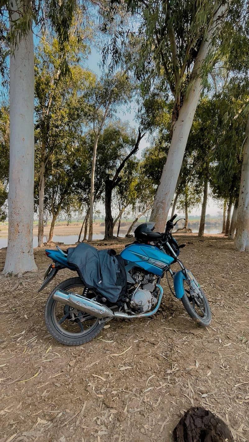 2016 Yamaha YBR 125 (Japanese Import) – Powerful & Reliable! 0