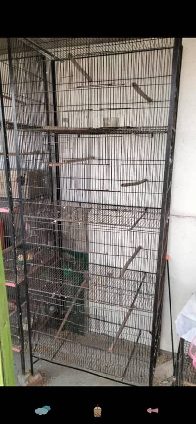 parrot cages