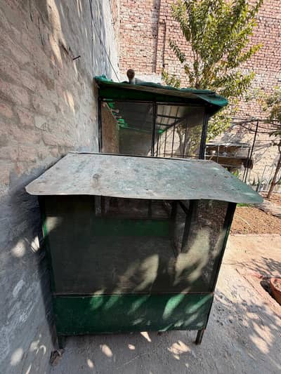 hens Cage