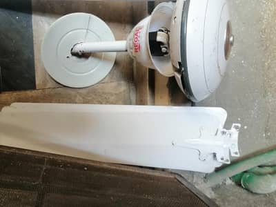 celling fan for sale 56inch