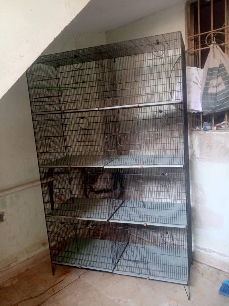 VVip condition Cage 1