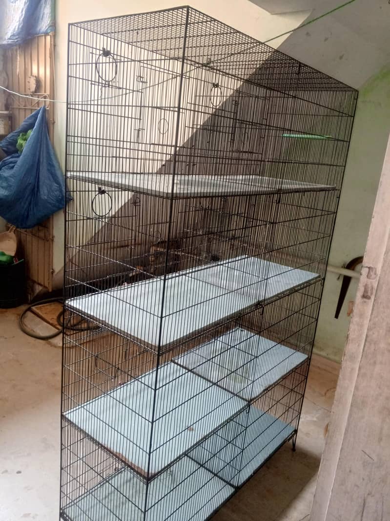 VVip condition Cage 3