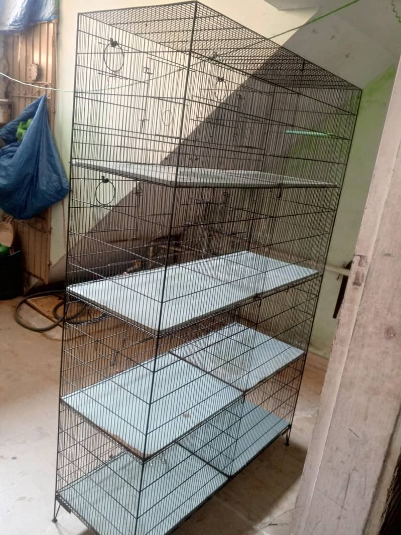 VVip condition Cage 5