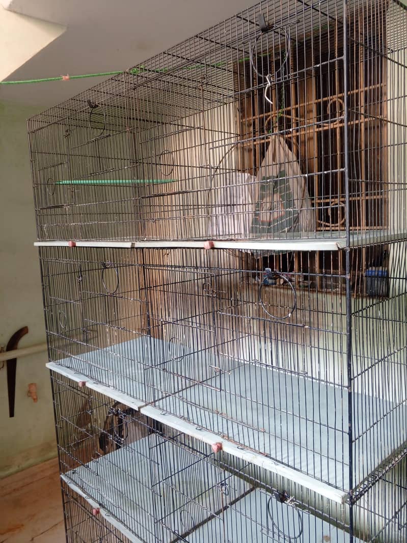 VVip condition Cage 7