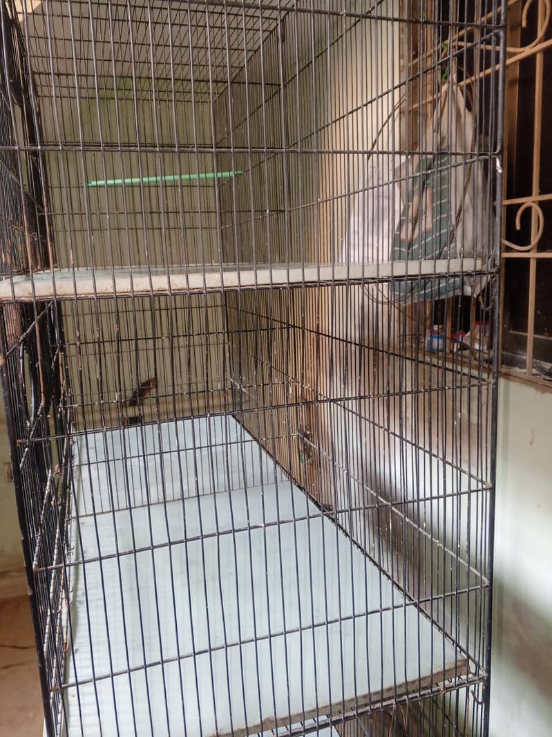 VVip condition Cage 8