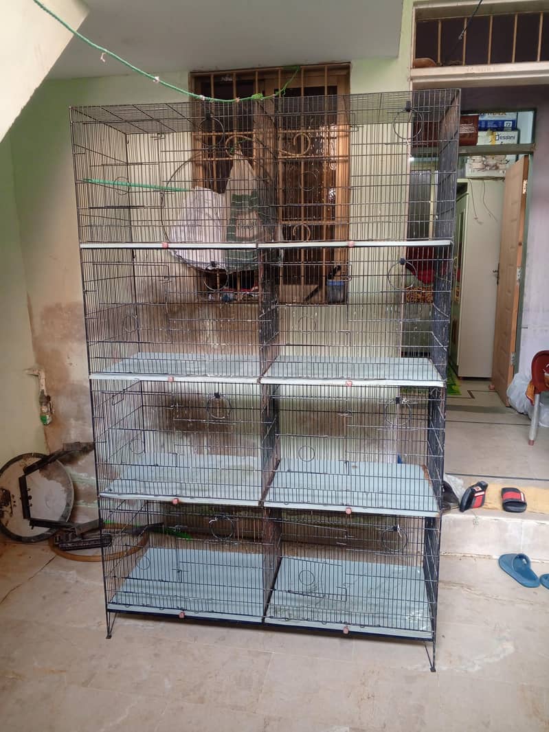 VVip condition Cage 10