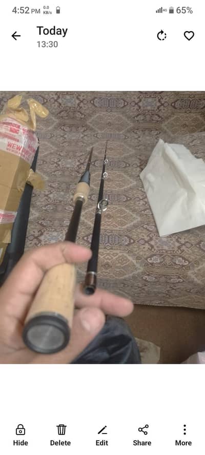 fish rod complete set
