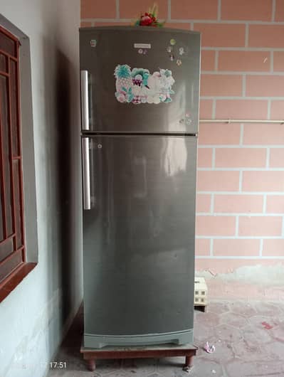 Jambo Full Size Refrigerator.