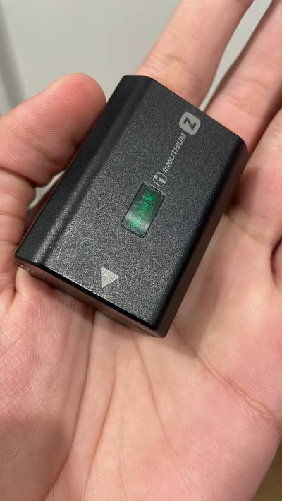 Sony FZ100 Original Battery for Sony Cameras + Caisi Dual Charger