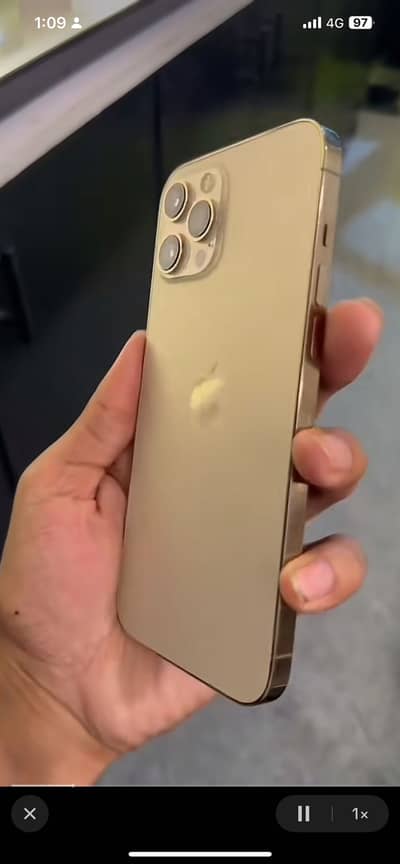 Sim chly gi 4 months