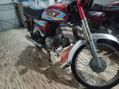 03099958213 lush condition