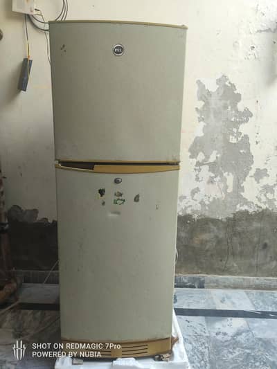 Pel Refrigerator  /03207307573