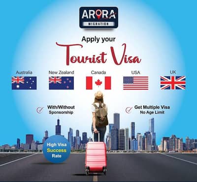 all kind of visa's are available just messge us on our number