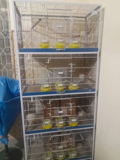 Cage for birds With Boxes