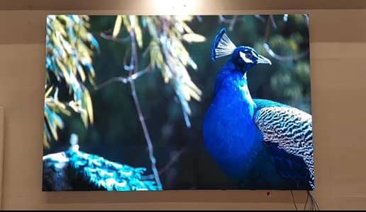 SMD LED Video Wall | Indoor Outdoor Display | Advertising Screen