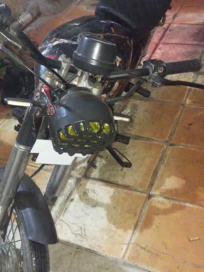 fresh candesha ma styalsh