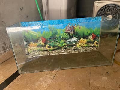aquarium for sale  5000