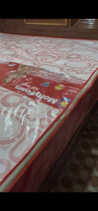Molty foam new matress