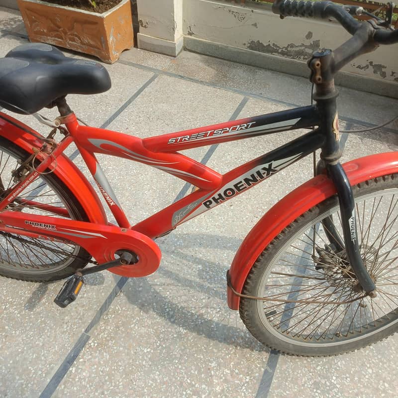 Phoenix bicycle 1