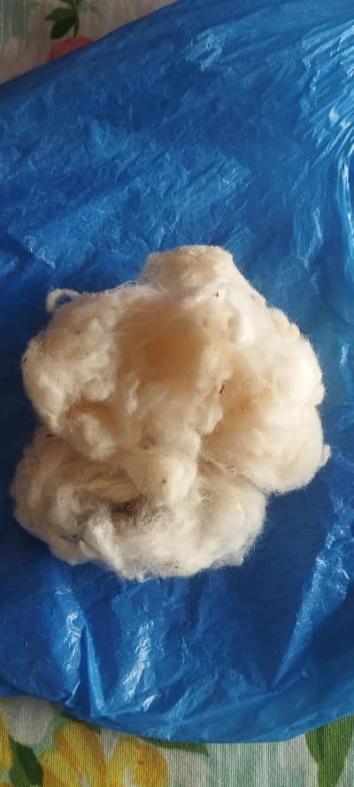 Premium  Natural  (Cotton/Wool)