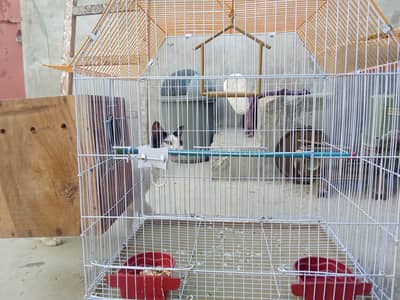 folding cages for sale