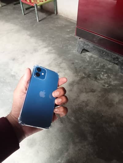 iPhone 12 10/10 condition