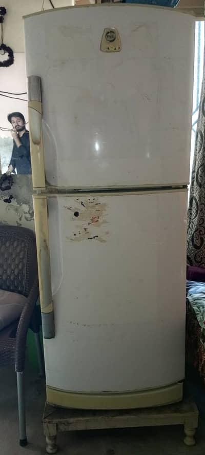 Pel Premium Refrigerator