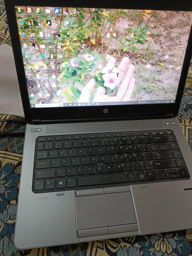 hp labtop 3