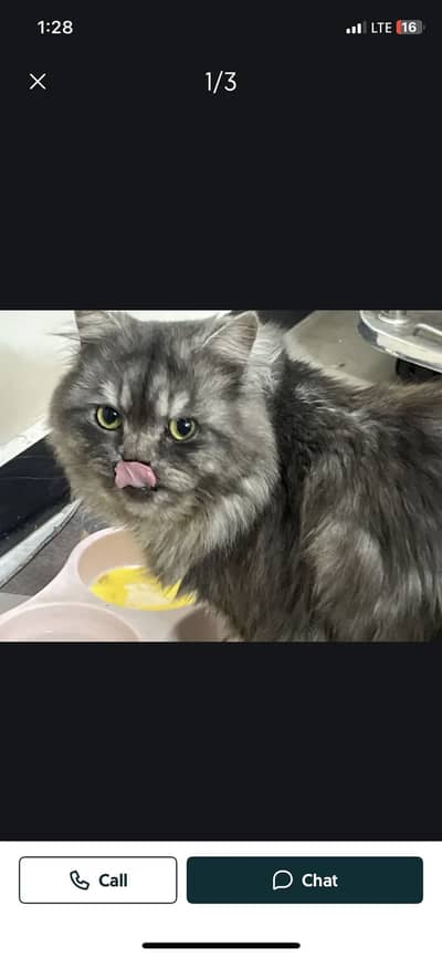 grey white female punch face 5k