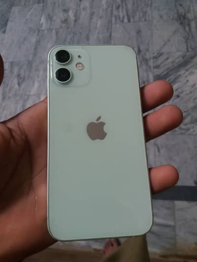 iphone 12 mini  10/10