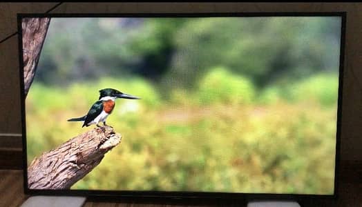 Samsung Smart LED tv