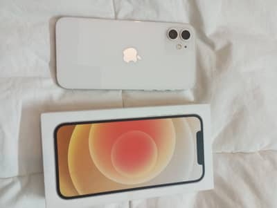 iphone 12 pta approved