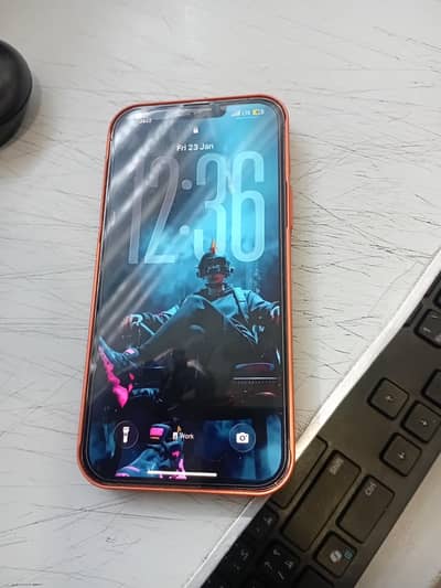 IPHONE 13 pro max pta