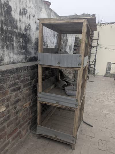 triple portion cage for sale