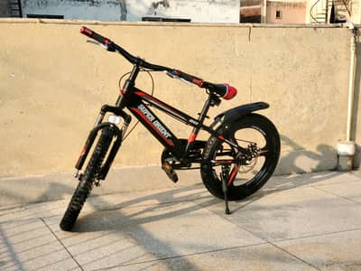 Capsican bike (dual disk)