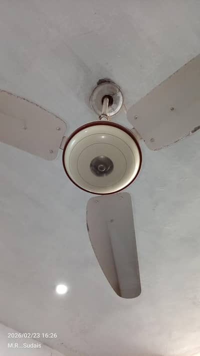celling fan