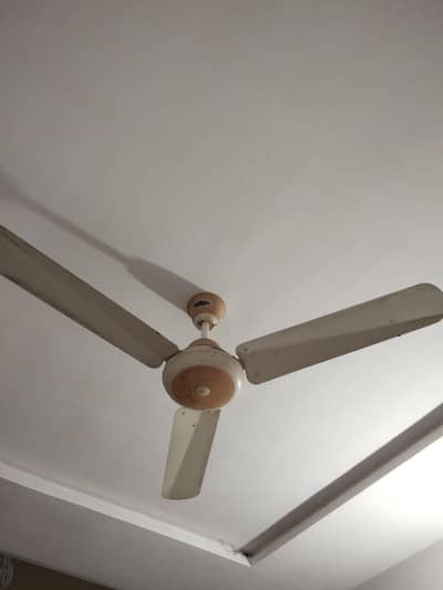 ceiling fans