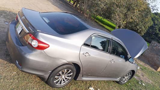 carolla gli 11 model