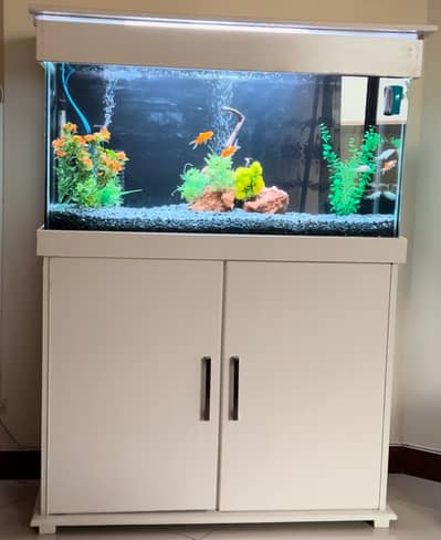 2 Golden Fishes with Complete Aquarium Set – For Sale