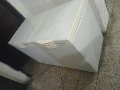 Waves Deep Fridger 2 Door for Sale 10 by 10